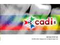 How to Change Polaroid DDS/CADI to Launch on Preferred Monitor